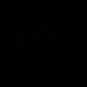 Meet your Posher, Phil